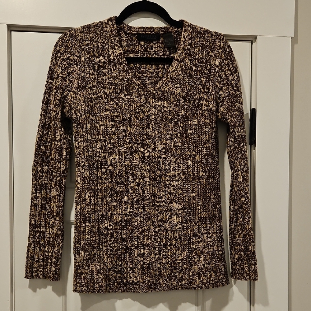Express V-Neck Sweater in Brown and Cream